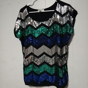 Dressbarn brand women's beautiful sequin Pullover top. Size 1X